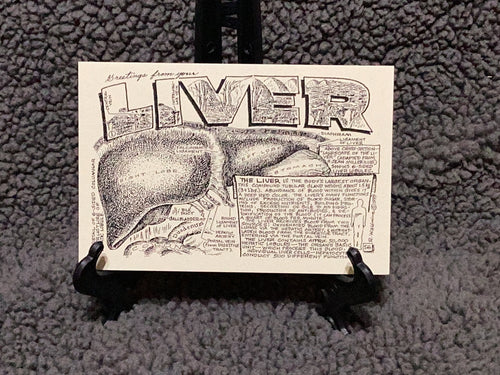 Greetings From Your Liver, #56