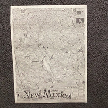 Load image into Gallery viewer, State of New Mexico Poster