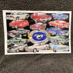 Ford Mustang - Forty Years
