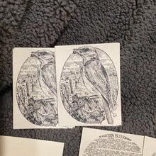 Load image into Gallery viewer, Set of 4 Eastern Bluebird Notecards