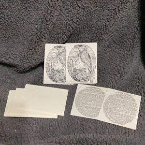 Set of 4 Eastern Bluebird Notecards