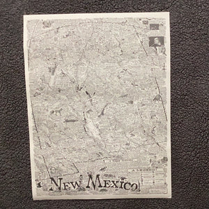 State of New Mexico Poster